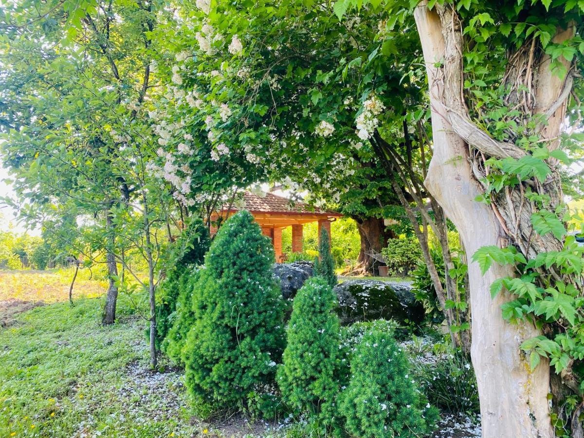 Guesthouse Kamelia Martvili Exteriör bild