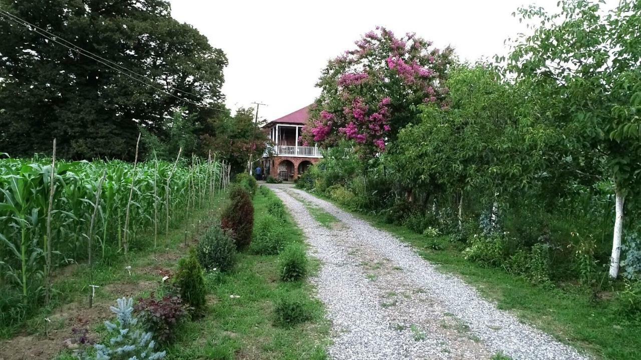Guesthouse Kamelia Martvili Exteriör bild