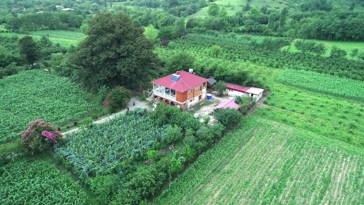 Guesthouse Kamelia Martvili Exteriör bild